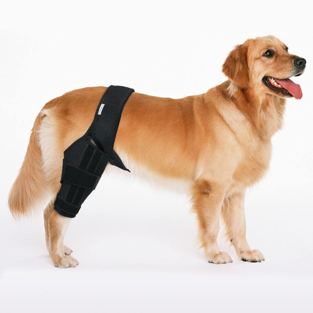 Medium MerryMilo Dog Knee Leg Brace for Hind & Rear Legs  Support for ACL, CCL,